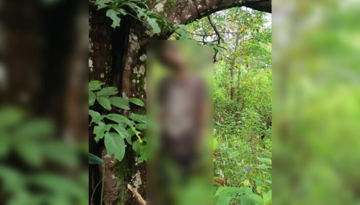 Tragis, Pria di Surade Sukabumi Ditemukan Tewas Tergantung di Kebun Cengkih dan Karet