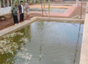 Desa Padajaya Gencarkan Budidaya Ikan Lele, Wujudkan Ketahanan Pangan dan Peluang Usaha Warga