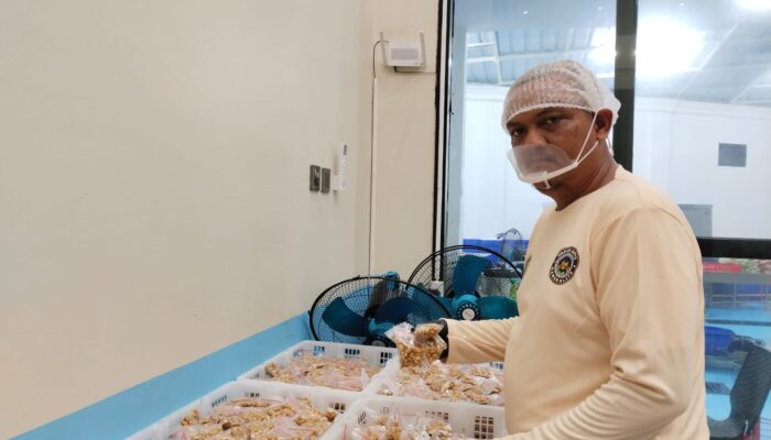 Kisah Deni, Mantan Jukir Lapang Merdeka yang Kini Hidup Sejahtera Berkat Program MBG di SPPG Mangkalaya