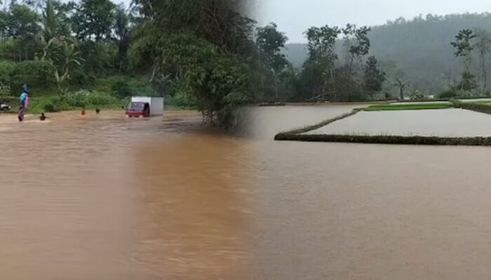 Enam Hektar Lahan Pertanian Rusak Terendam Banjir di Purabaya Sukabumi