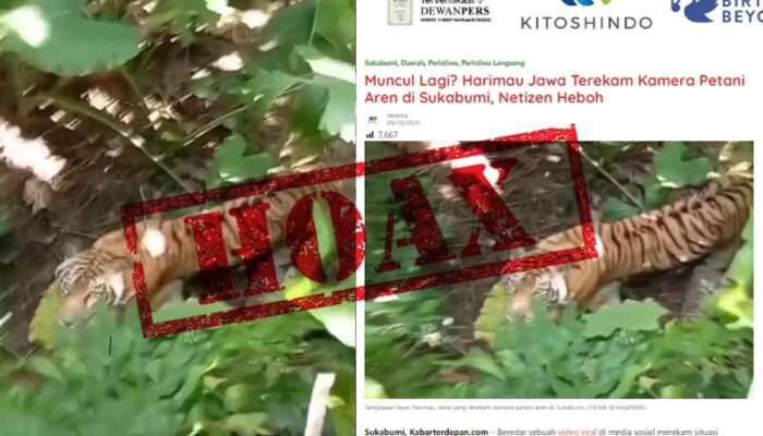 Cek Fakta: Video Petani Bertemu Harimau di Sukabumi Ternyata Hoax