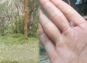 Fenomena Hujan Es Terjang Jampangtengah Sukabumi, Begini Penjelasan Pakar