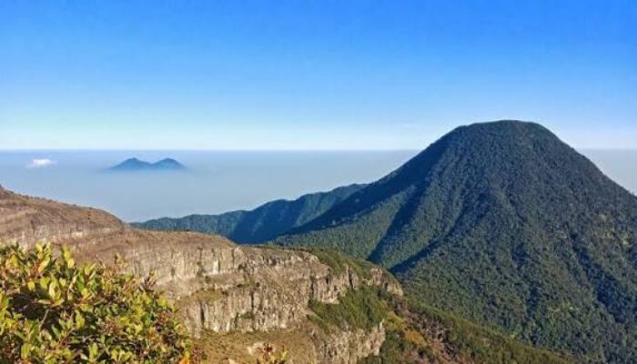 Pendakian Gunung Gede Pangrango Ditutup Sementara Mulai 13 Oktober