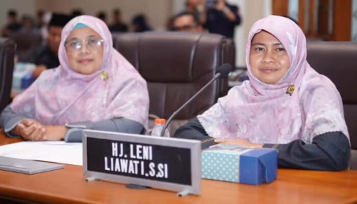 TKD Turun Drastis, DPRD Kabupaten Sukabumi Minta Pemkab Tak Manja pada Pusat