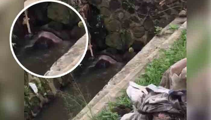 Mayat Wanita Berdaster di Gorong-gorong Sukabumi, Polisi: Tak Ada Tanda Kekerasan