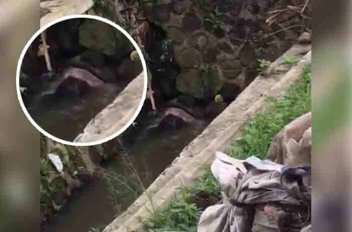 Penemuan mayat wanita berdaster di Jalan Lingkar Selatan, Kampung Babakan, Desa Babakan, Kecamatan Cisaat, Kabupaten Sukabumi, Sabtu (11/10/2025).