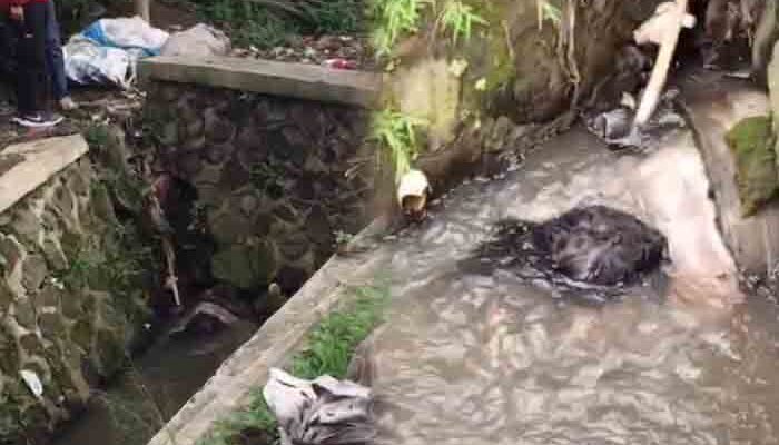 Geger! Warga Temukan Mayat Nyangkut di Gorong-gorong Jalur Lingkar Selatan Sukabumi