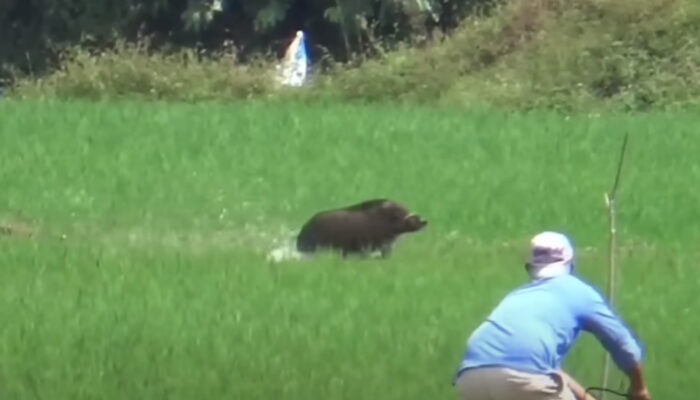 Gunakan Senpi Rakitan Tanpa Izin, Polres Sukabumi Ciduk Lima Pemburu di Surade