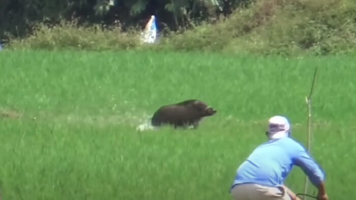 Lima orang pemburu diciduk Polres sukabumi.