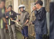 Ular Piton Sepanjang 3 Meter Dievakuasi dari Kandang Ayam di Sukaraja Sukabumi
