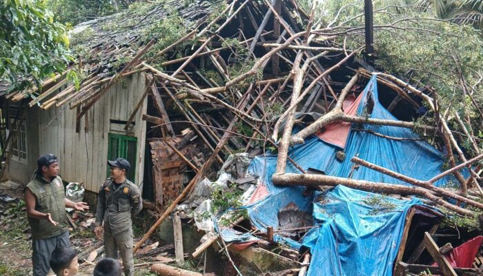 Diterjang Pohon Tumbang, Rumah Nek Nining di Jampangkulon Hancur