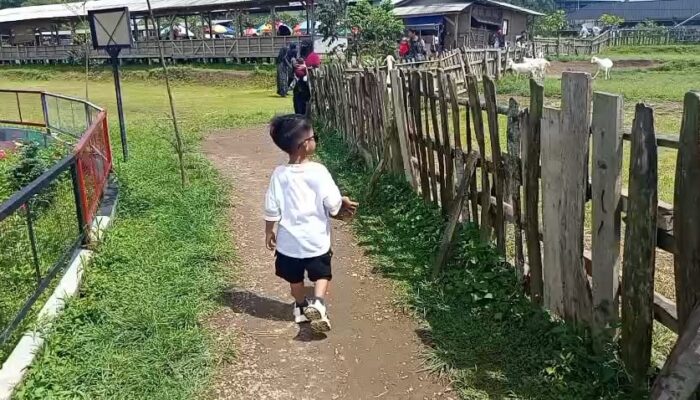 Tiket Hanya Rp10.000, Nikmati Pengalaman Wisata dan Belajar di Eduwisata Peternakan di Cisaat Sukabumi