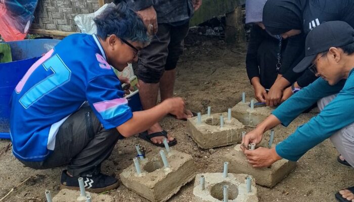 Avoskin dan Penggiat Lingkungan Tanam Terumbu Karang di Pantai Minajaya, Sukabumi