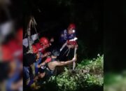 Dramatis, Damkar Sukabumi Berhasil Evakuasi Warga yang Terjatuh ke Sumur