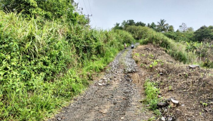 Kondisi jalan rusak parah di perbatasan Desa Loji dan Desa Kertajaya, Kecamatan Simpenan, Kabupaten Sukabumi.
