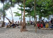 Dulu Terbengkalai kini Ramai, Warga Desa Cikakak Sukabumi Sulap Hutan Pandan jadi Tempat Wisata