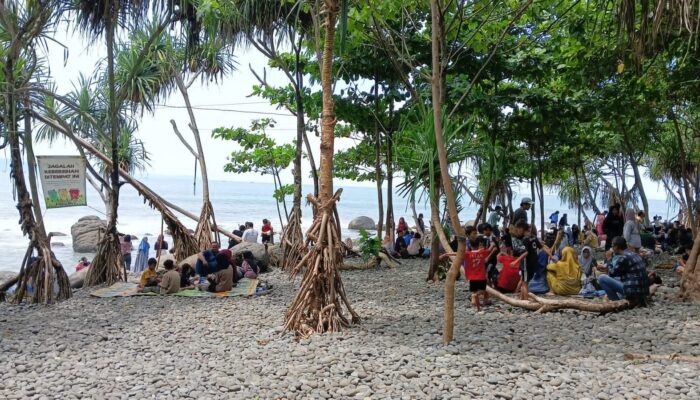 Dulu Terbengkalai kini Ramai, Warga Desa Cikakak Sukabumi Sulap Hutan Pandan jadi Tempat Wisata
