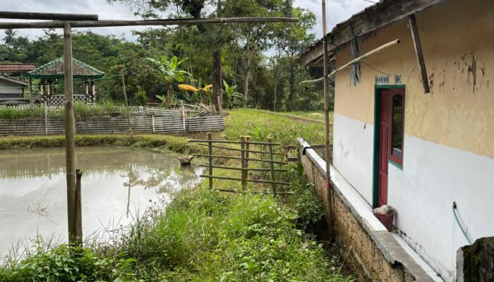 Pemkab Sukabumi Turun Tangan, Keluarga Korban Pencabulan di Kadudampit Alami Intimidasi