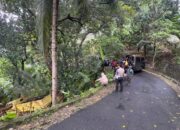 Diduga Sopir Ngantuk, Truk Terjun ke Jurang di Cisolok Sukabumi