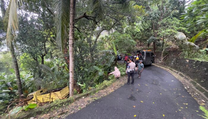 Diduga Sopir Ngantuk, Truk Terjun ke Jurang di Cisolok Sukabumi