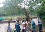 Jembatan Putus, Banjir dan Longsor Terjang Tiga Desa di Simpenan Sukabumi