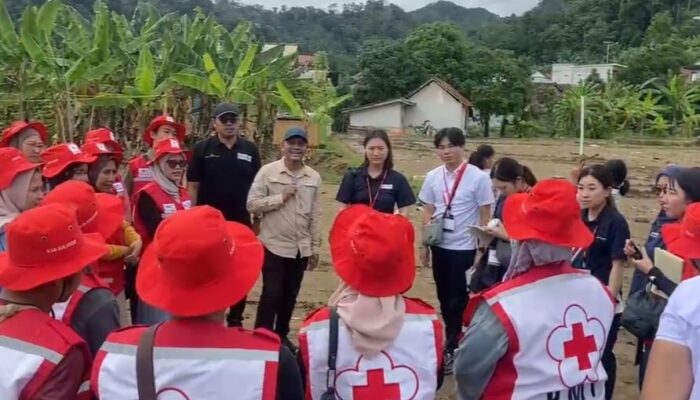 PMI dan Palang Merah Jepang Kunjungi Lokasi Banjir di Cisolok Sukabumi