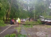 Hujan Disertai Angin Kencang di Palabuhanratu, Gazebo dan Dua Pohon Besar Tumbang