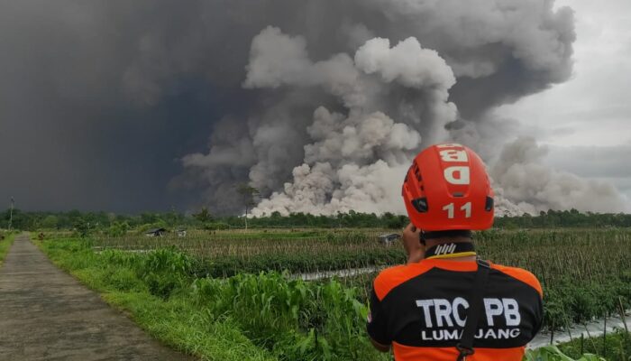Erupsi Besar Gunung Semeru, Ratusan Warga Dievakuasi
