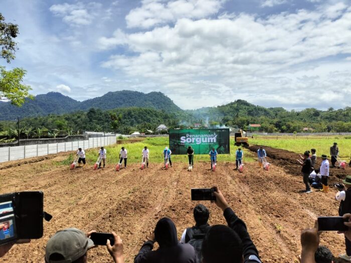 Peluncuran program penanaman sorgum seluas 10 hektare di Kampung Cipatuguran, Kecamatan Palabuhanratu, Kabupaten Sukabumi, pada Selasa (25/11/2025).