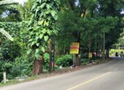 Hadeuh! Sudah Dipasang Larangan, Tapi Sampah Masih Menumpuk di Kawasan Cagar Alam Tangkuban Perahu Sukabumi