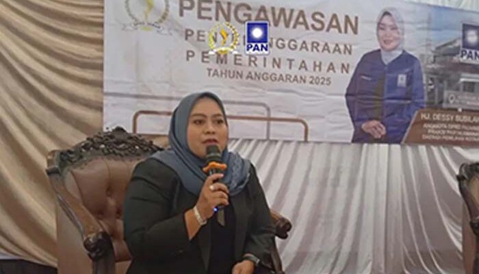 Dessy Susilawati Gelar Kegiatan Pengawasan Penyelenggaraan Pemerintahan di Cicurug Sukabumi