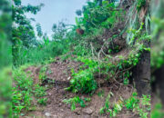 Longsor Tutup Akses Jalan di Mekarasih Simpenan, Warga Minta Alat Berat Diterjunkan