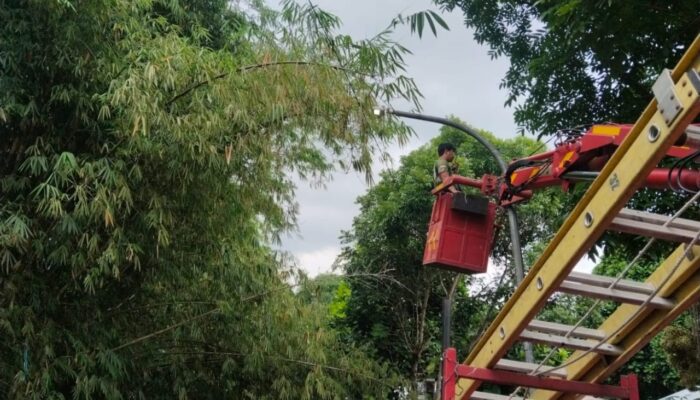 Dishub Sukabumi Siapkan Skema KPBU untuk Perluas Penerangan Jalan Umum