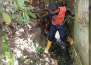 Respons Cepat, BPBD Kota Sukabumi Tinjau TPT Ambruk dan Bersihkan Saluran Air