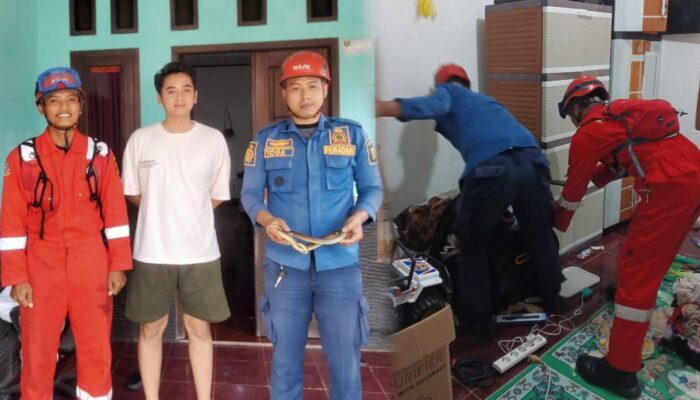Damkar Jampangkulon Evakuasi Ular dari Rumah Warga
