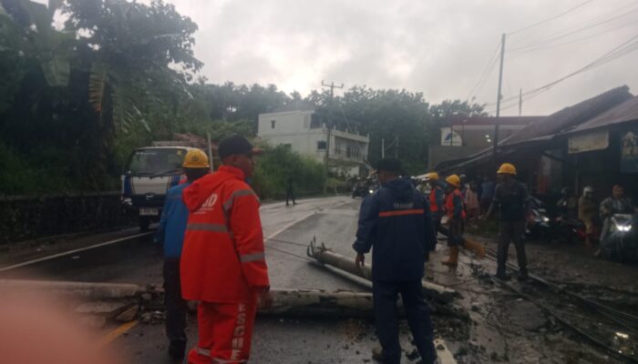 Cuaca Ekstrem di Simpenan Sukabumi, Pohon dan Tiang Listrik Tumbang