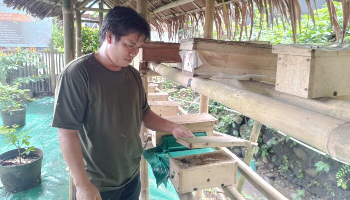 Karanghawu Sukabumi Punya Destinasi Baru: Wisata Edukasi Lebah Trigona dan Kebun Buah