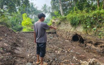 Bendungan Cidadap di Kebonpedes Sukabumi Jebol, 20 Hektar Sawah Terancam Gagal Panen