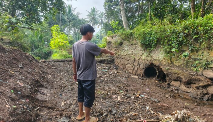 Bendungan Cidadap di Kebonpedes Sukabumi Jebol, 20 Hektar Sawah Terancam Gagal Panen