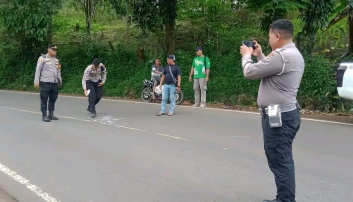 Kronologi Kecelakaan Maut di Simpenan: Motor Melebar di Tikungan, Tabrak Truk Box dari Depan