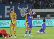Tiket PERSIB vs PSBS Biak Tersedia di PERSIB App, Cek Harganya