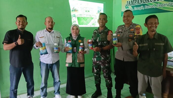 Panen Raya Jadi Momentum Evaluasi, Jampangkulon Perkuat Ketahanan Pangan Berbasis Wilayah