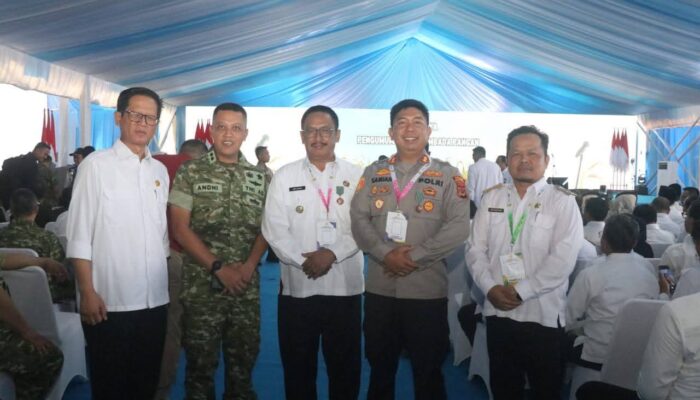 Peran Aktif Dinas Pertanian, Kabupaten Sukabumi Terima Penghargaan Presiden RI