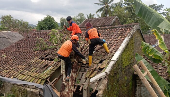 Angin Kencang Terjang Kota Sukabumi, BPBD Catat 23 Kejadian Bencana dalam Sehari