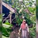Pohon Tumbang Akibat Angin Kencang Rusak Rumah Warga Lansia di Waluran