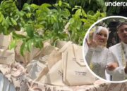 Souvenir Bibit Pohon di Pernikahan Gen Z Viral, Simbol Cinta dan Kepedulian Lingkungan