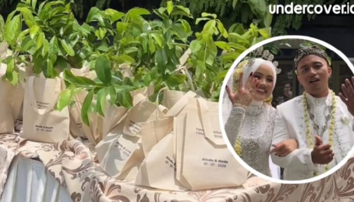 Souvenir Bibit Pohon di Pernikahan Gen Z Viral, Simbol Cinta dan Kepedulian Lingkungan
