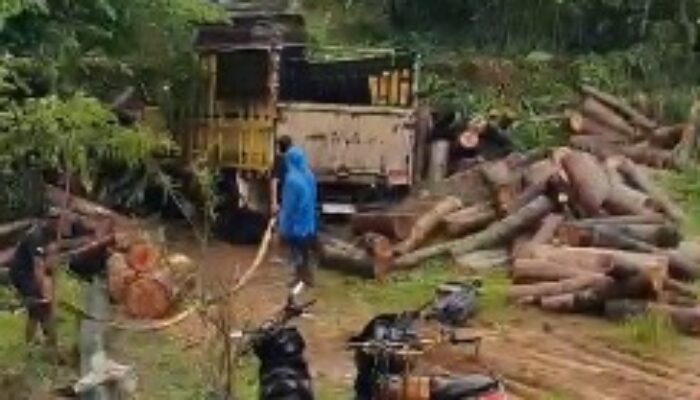 Rem Blong, Truk Kayu Alami Kecelakaan di Tanjakan Dini Geopark Ciletuh