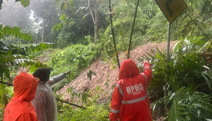 Jalan Nasional di Simpenan Sukabumi Tertutup Longsor, Akses Lumpuh Total