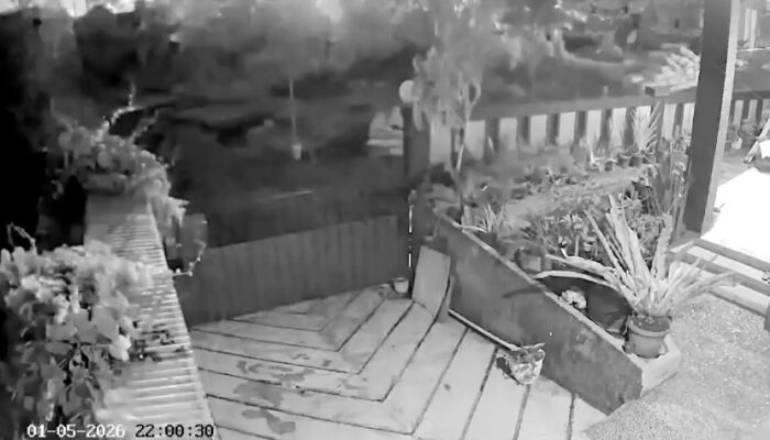 Suara Dentuman Misterius Disertai Kilatan Cahaya Hebohkan Warga Cipanas Cianjur